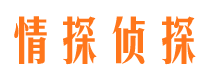 张家川侦探